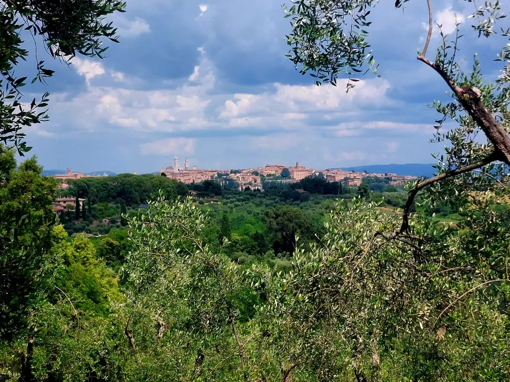 Travel Italy Siena e San Gimignano tour